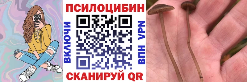 Псилоцибиновые грибы мухоморы Чишмы