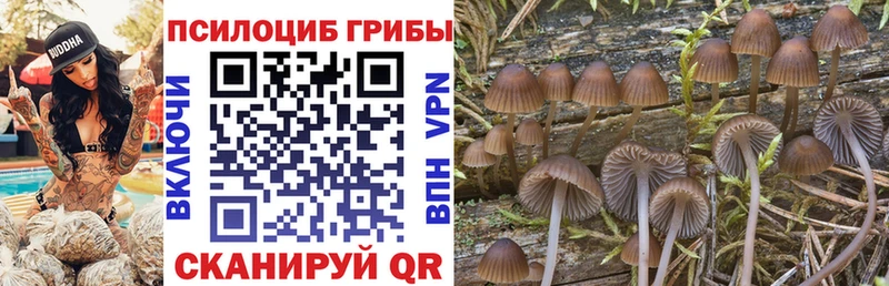 Псилоцибиновые грибы мухоморы  Чишмы 